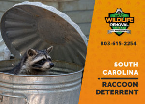 south carolina raccoon deterrents