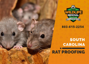 rat proofing in south carolina