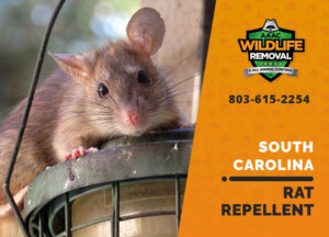rat repellent useful south carolina