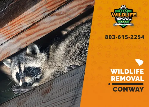 Conway Wildlife Removal professional removing pest animal
