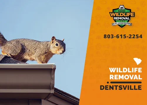 Dentsville Wildlife Removal professional removing pest animal