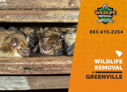 Greenville Wildlife Removal professional removing pest animal