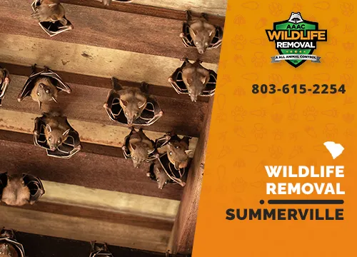 Summerville Wildlife Removal professional removing pest animal